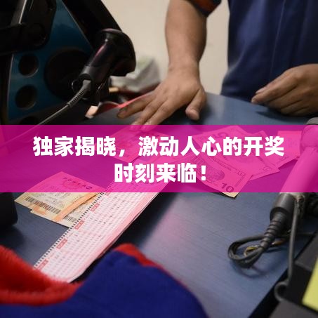 独家揭晓，激动人心的开奖时刻来临！