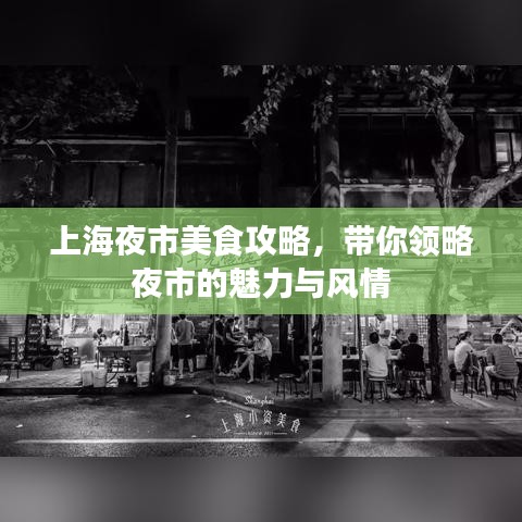 上海夜市美食攻略，带你领略夜市的魅力与风情