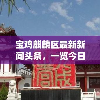 宝鸡麒麟区最新新闻头条，一览今日热点事件
