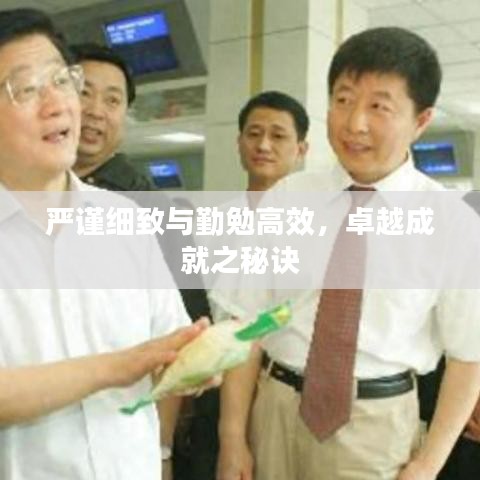 严谨细致与勤勉高效，卓越成就之秘诀