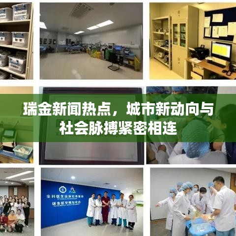 瑞金新闻热点，城市新动向与社会脉搏紧密相连