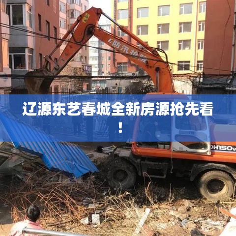 辽源东艺春城全新房源抢先看！