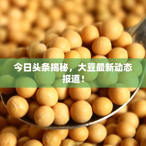 今日头条揭秘，大豆最新动态报道！