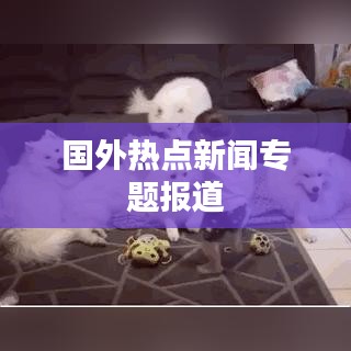 国外热点新闻专题报道