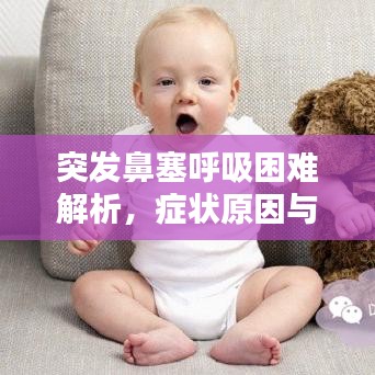 突发鼻塞呼吸困难解析，症状原因与应对方法