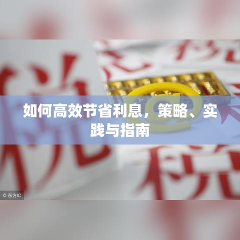 如何高效节省利息，策略、实践与指南