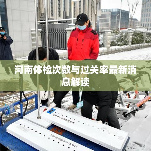 河南体检次数与过关率最新消息解读