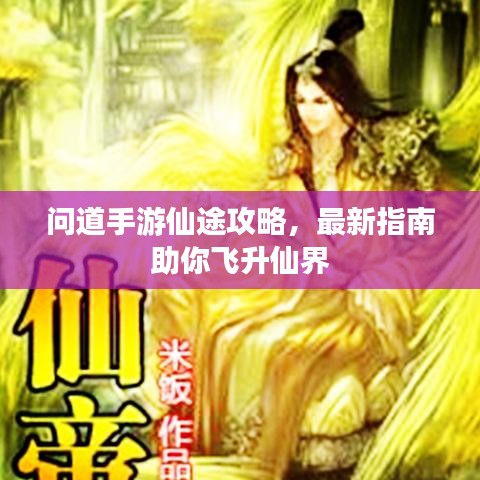 问道手游仙途攻略，最新指南助你飞升仙界