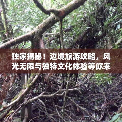 独家揭秘！边境旅游攻略，风光无限与独特文化体验等你来探秘！