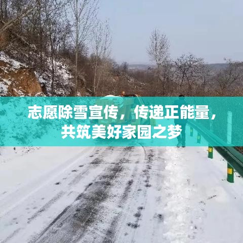 志愿除雪宣传，传递正能量，共筑美好家园之梦