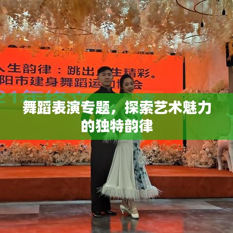 舞蹈表演专题，探索艺术魅力的独特韵律