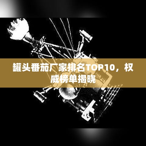 罐头番茄厂家排名TOP10，权威榜单揭晓