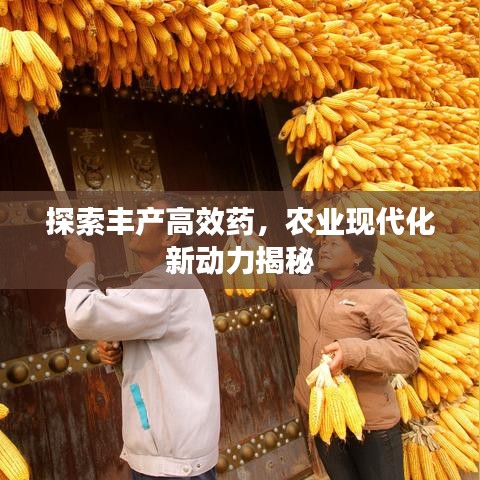 探索丰产高效药，农业现代化新动力揭秘