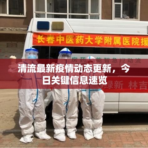 清流最新疫情动态更新，今日关键信息速览