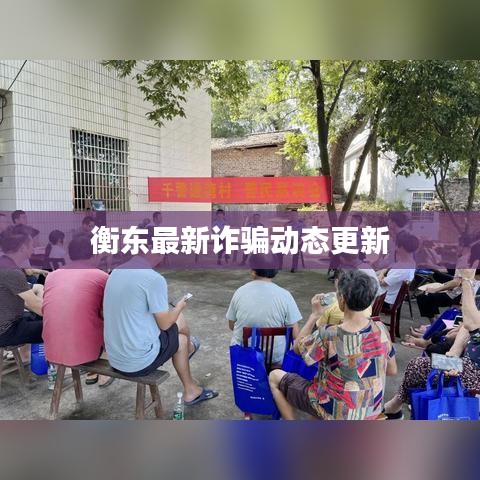 衡东最新诈骗动态更新