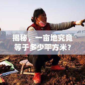 揭秘，一亩地究竟等于多少平方米？土地面积转换全解析！