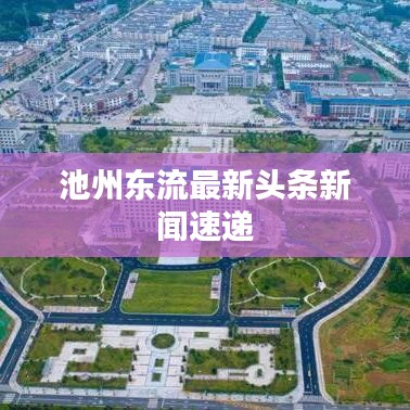 池州东流最新头条新闻速递