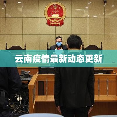 云南疫情最新动态更新
