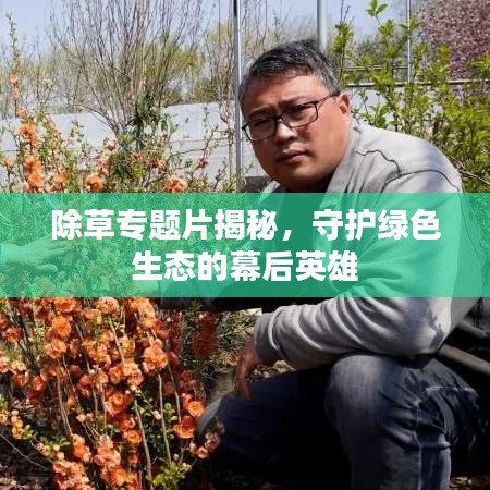 除草专题片揭秘，守护绿色生态的幕后英雄