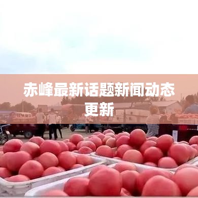 赤峰最新话题新闻动态更新