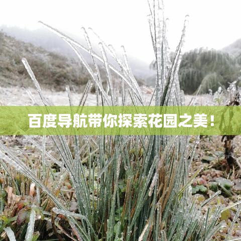 百度导航带你探索花园之美！