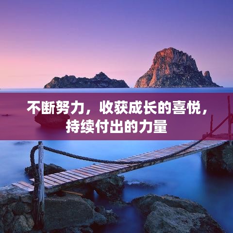 不断努力，收获成长的喜悦，持续付出的力量