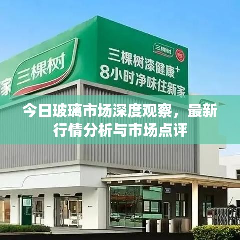 今日玻璃市场深度观察，最新行情分析与市场点评