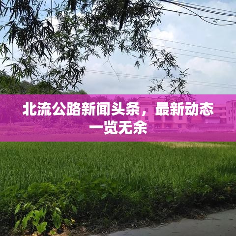 北流公路新闻头条，最新动态一览无余