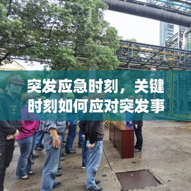 突发应急时刻，关键时刻如何应对突发事件