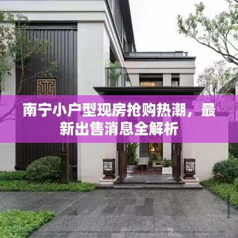 南宁小户型现房抢购热潮，最新出售消息全解析