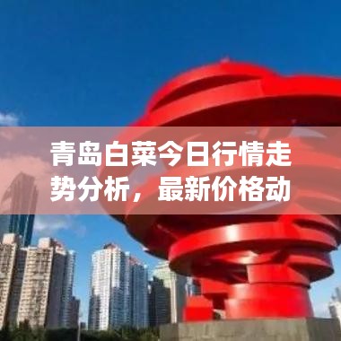 青岛白菜今日行情走势分析，最新价格动态解读