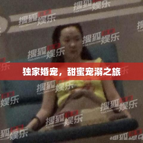 独家婚宠，甜蜜宠溺之旅
