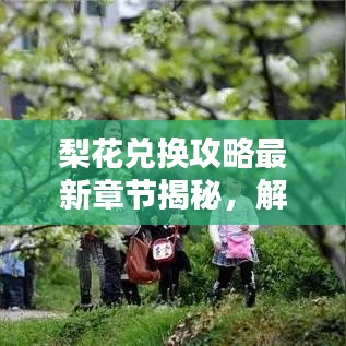 梨花兑换攻略最新章节揭秘，解锁虚拟世界财富之门