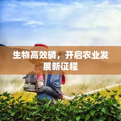 生物高效磷，开启农业发展新征程