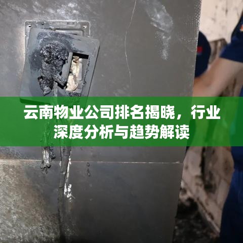 云南物业公司排名揭晓，行业深度分析与趋势解读