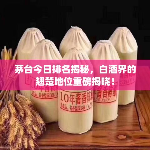 茅台今日排名揭秘，白酒界的翘楚地位重磅揭晓！