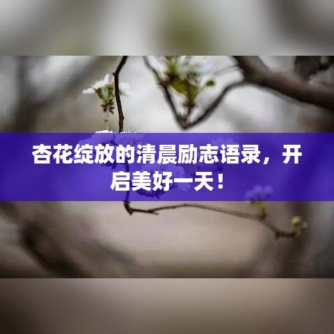 杏花绽放的清晨励志语录，开启美好一天！
