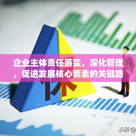 企业主体责任落实，深化管理，促进发展核心要素的关键路径