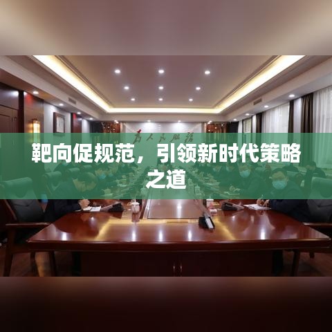 靶向促规范，引领新时代策略之道