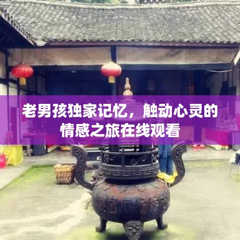 老男孩独家记忆，触动心灵的情感之旅在线观看