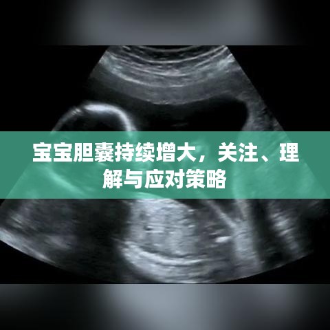 宝宝胆囊持续增大，关注、理解与应对策略
