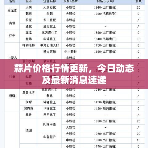 蒜片价格行情更新，今日动态及最新消息速递