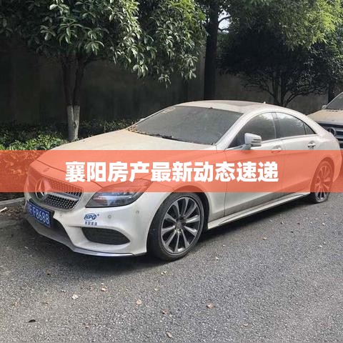 襄阳房产最新动态速递