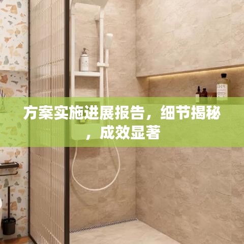 方案实施进展报告，细节揭秘，成效显著