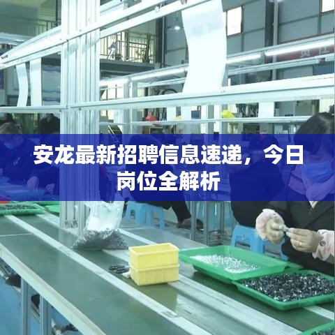 安龙最新招聘信息速递，今日岗位全解析