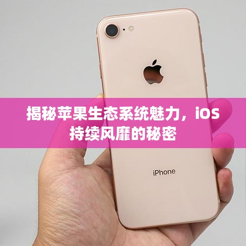 揭秘苹果生态系统魅力，iOS持续风靡的秘密