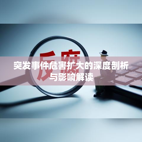 突发事件危害扩大的深度剖析与影响解读