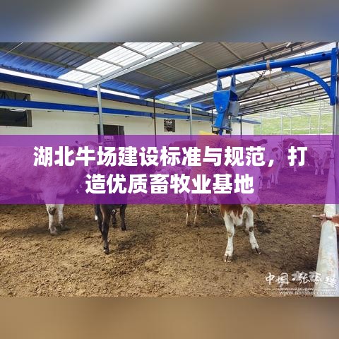 湖北牛场建设标准与规范，打造优质畜牧业基地
