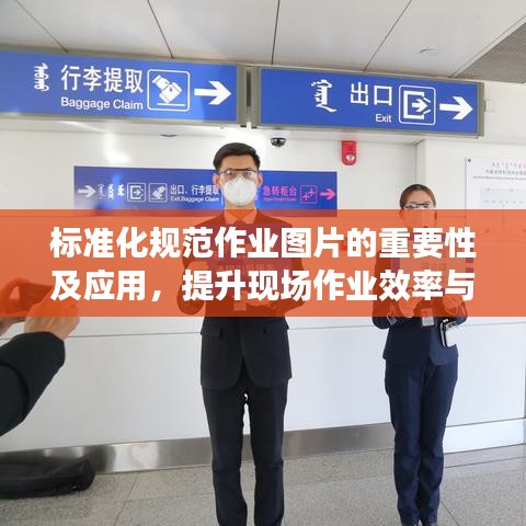 标准化规范作业图片的重要性及应用，提升现场作业效率与安全管理水平