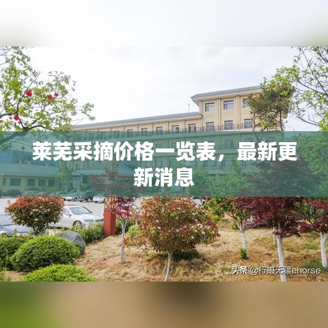莱芜采摘价格一览表，最新更新消息